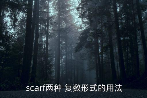  scarf兩種 復數形式的用法