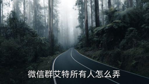 微信群艾特所有人怎么弄