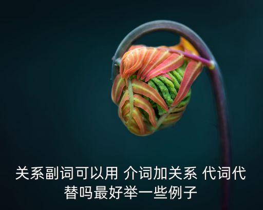 關系副詞可以用 介詞加關系 代詞代替嗎最好舉一些例子
