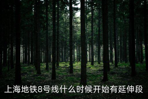 上海市8號線規劃，上海地鐵八號線向南延伸到那里