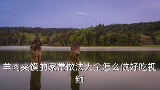 羊肉夾饃的家常做法大全怎么做好吃視頻