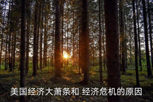 美國經濟大蕭條和 經濟危機的原因