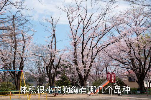體積很小的狗狗有哪幾個品種