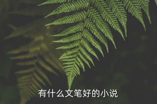 文筆超好反復看的小說，有什么文筆好的小說
