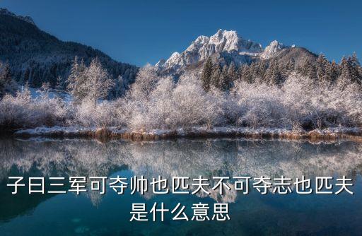 子曰三軍可奪帥也匹夫不可奪志也匹夫是什么意思