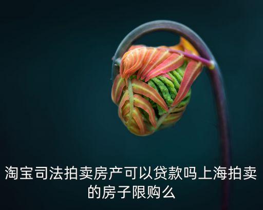 上海市淘寶拍房，上海法拍房限購嗎