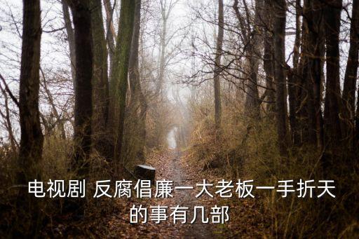  電視劇 反腐倡廉一大老板一手折天的事有幾部