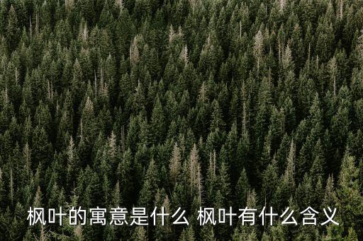  楓葉的寓意是什么 楓葉有什么含義
