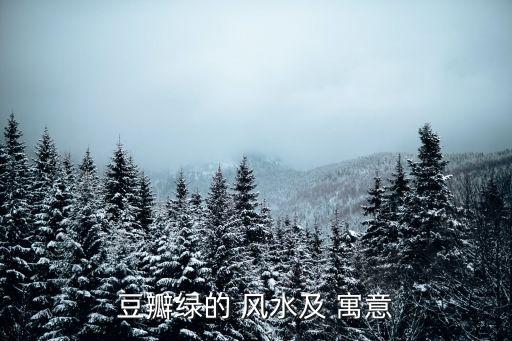 碧玉花的風水寓意,口服玉蘭花可祛風除濕止咳化痰