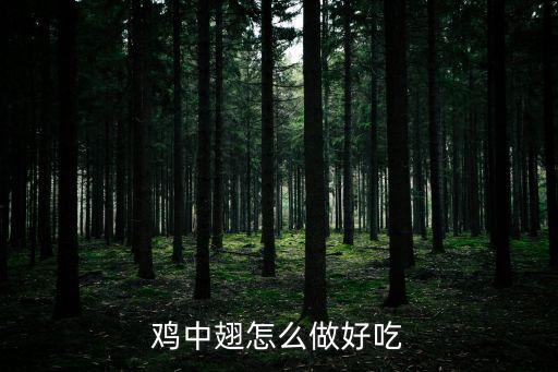 雞中翅怎么做好吃