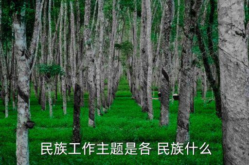  民族工作主題是各 民族什么