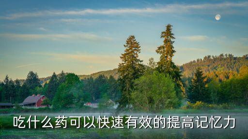 吃什么藥可以快速有效的提高記憶力