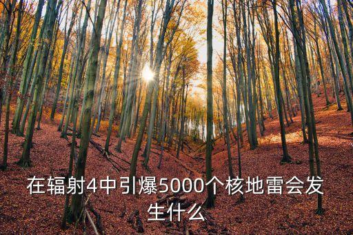 在輻射4中引爆5000個核地雷會發(fā)生什么