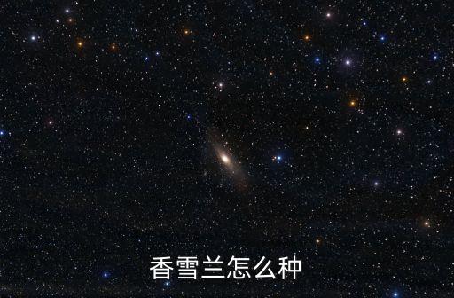 香雪蘭怎么種