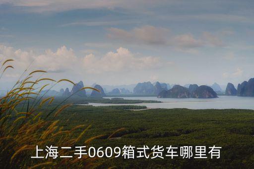 上海市二手貨車42米個人轉讓，上海二手0609箱式貨車哪里有