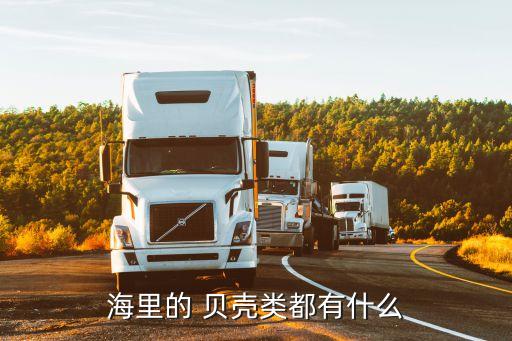 海里的 貝殼類都有什么
