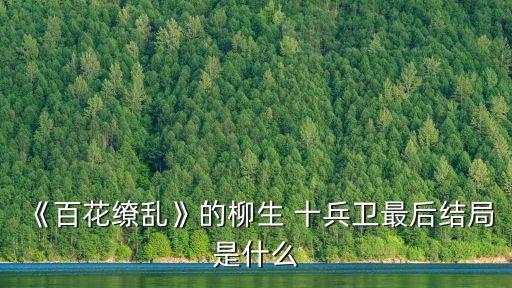 十兵衛,我覺得十兵衛沒有死!日本宮本武藏新流派柳蔭創立