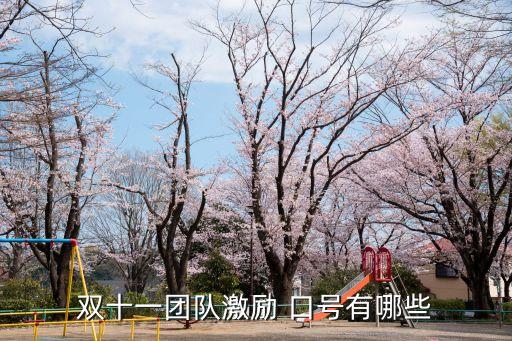 雙11活動口號,人民幣證明是真愛!雙十一不要錢!