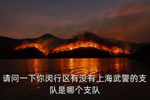 上海市閔行區武警四支隊，上海武警總隊有幾個支隊
