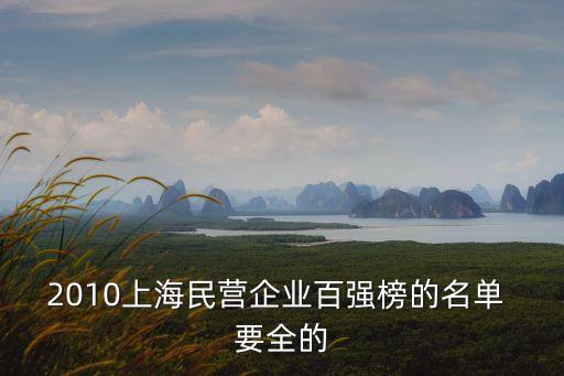 2010上海民營(yíng)企業(yè)百?gòu)?qiáng)榜的名單 要全的