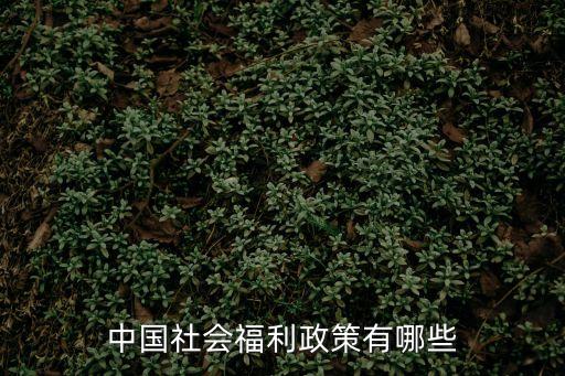 福利政策，中國有哪些福利制度