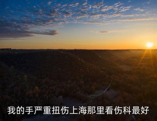 我的手嚴重扭傷上海那里看傷科最好