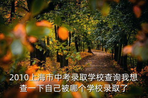 2010上海市中考錄取學校查詢我想查一下自己被哪個學校錄取了