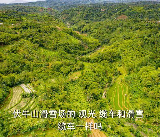 觀光纜車,伏牛山觀光纜車比滑雪纜車更快更好