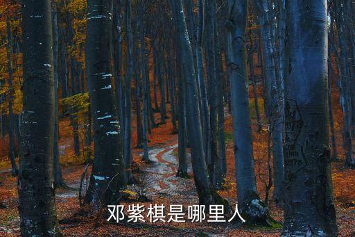 鄧紫琪,《沉睡的美人》第二集:鄧紫棋的早年經(jīng)歷