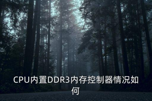 CPU內置DDR3內存控制器情況如何