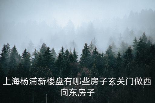 上海市楊浦區的新樓盤，上海市楊浦區邯鄲路的房價現在是多少