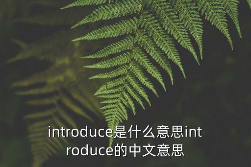 introduce是什么意思introduce的中文意思