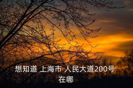 想知道 上海市 人民大道200號 在哪