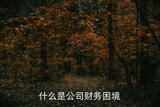 財務困境，如何擺脫企業財務困境
