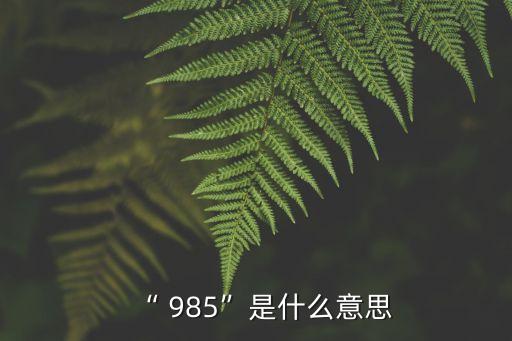 “ 985”是什么意思