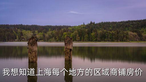 我想知道上海每個地方的區(qū)域商鋪房價