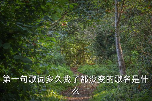 浪費歌詞，我是歌手第四季徐佳瑩浪費的歌詞