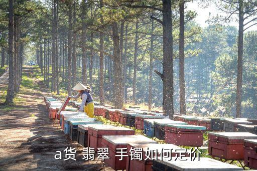 翡翠手鐲a貨,翡翠a貨手鐲市場價一般幾十萬或幾百萬