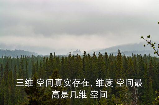 三維 空間真實存在, 維度 空間最高是幾維 空間