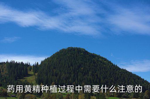 藥用黃精種植過程中需要什么注意的