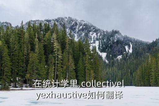 在統(tǒng)計(jì)學(xué)里,collectivelyexhaustive如何翻譯