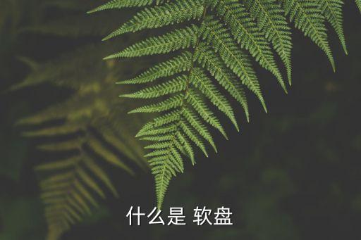 軟盤是什么,新電腦安裝盤當然是光盤啦!