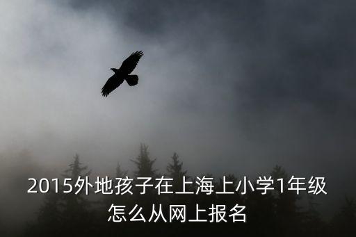 上海市幼升小網上報名，我在上海小孩網上報名怎么報的呀