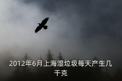 2012年6月上海濕垃圾每天產生幾千克