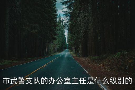 市武警支隊的辦公室主任是什么級別的