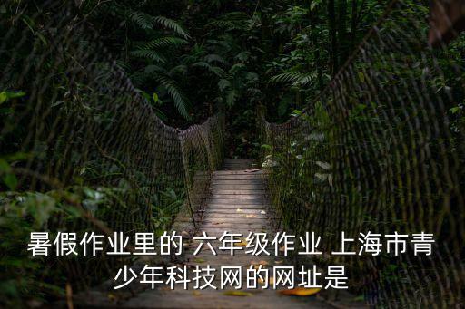 上海市靜安區青少年科技站，暑假作業里的 六年級作業 上海市青少年科技網的網址是