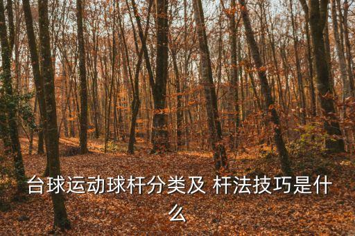 臺球桿法,臺球基本桿法和力度控制:可對目標球進行記分