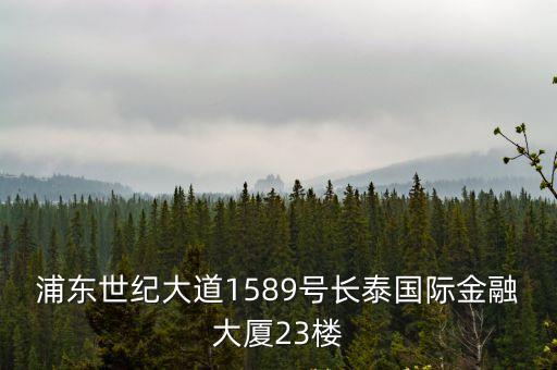 浦東世紀大道1589號長泰國際金融大廈23樓