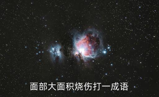 面部大面積燒傷打一成語