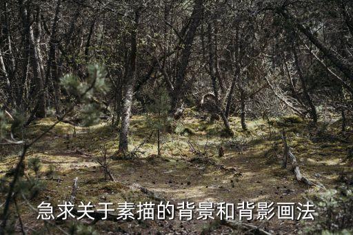 急求關于素描的背景和背影畫法